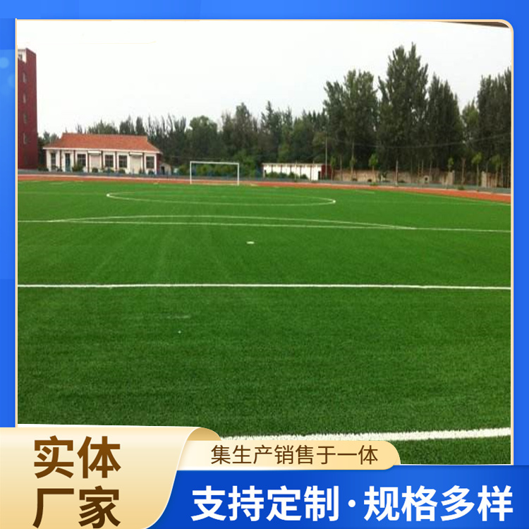 德州市塑胶跑道材料人造草坪 - 排名